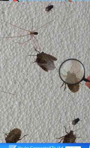 Bytesects aplastar insectos hormigas juego y protector de pantalla 2