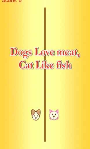 gato come pescado - carne de perro amor gratis 1