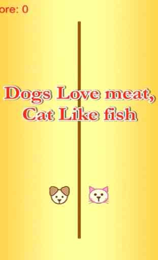 gato come pescado - carne de perro amor gratis 4