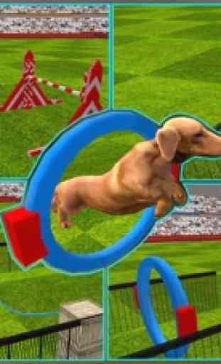 Demostración de perro simulador 3D: entrenar a los cachorros y realizar acrobacias increíbles 2