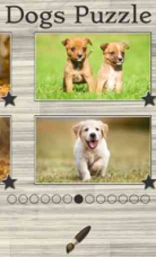 Rompecabezas del perro - juego de rompecabezas para niños con imágenes reales de los cachorros y perros lindos 1