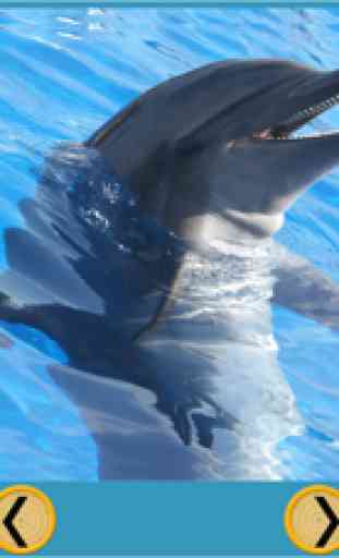 delfines y dardos para niños - juego gratuito 2