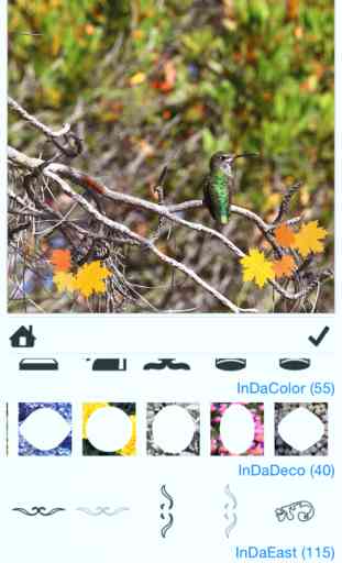 InDaFrame - Frame Inspiration: Insta Photo and Video Overlays and Stamps Editor 3
