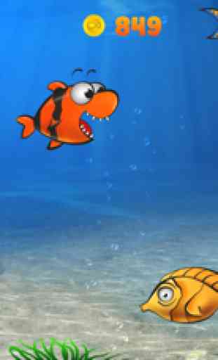 Hungry Nemo 3