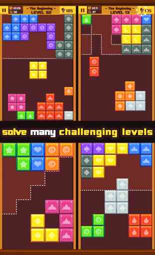 Mind Blocks - Sliding & Fitting Pieces Puzzle Game 2