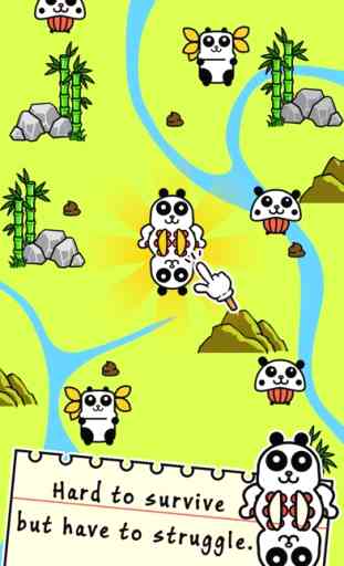 Panda Evolution 2