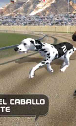 Perro loco Racing 3