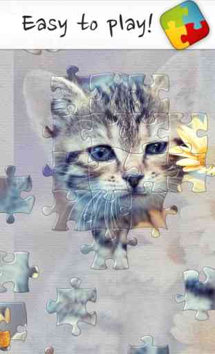 Puzzles & Jigsaws Pro 3
