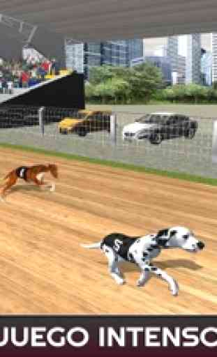 Sprint de 100 metros carreras de perros: perros de 1
