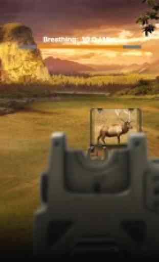 Deer Target Shooting 4