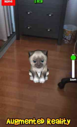 Talking Kittens, gato virtual que habla tu mascota 3