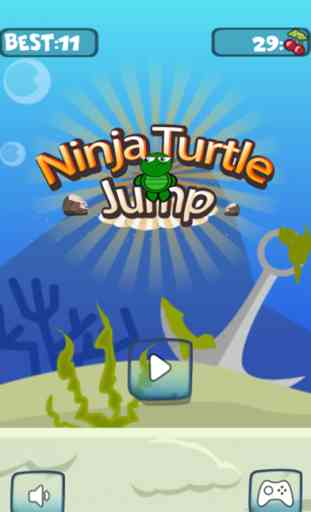 diminutas tortugas ninjas saltan hacia arriba y hacia abajo en la azotea 1