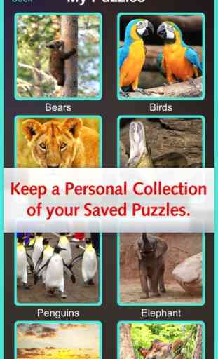 Jig-saw For Zoo & Animal love - Amazing Collection Packs 3