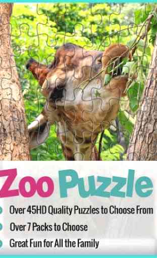 Jig-saw For Zoo & Animal love - Amazing Collection Packs 4