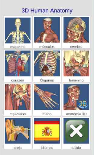 3D Bones and Organs (Anatomy) 2