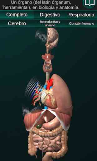 Órganos 3D (anatomía) 1