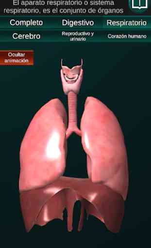 Órganos 3D (anatomía) 2
