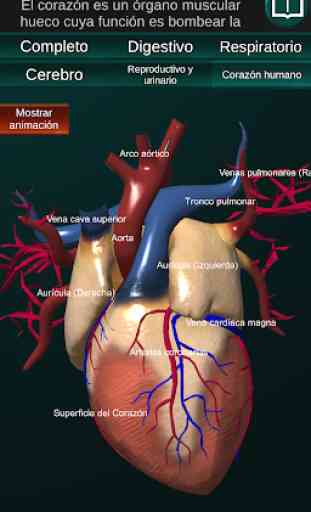 Órganos 3D (anatomía) 3