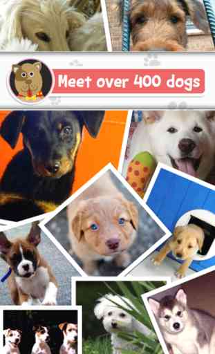 Razas: El perro nombre juego -  el juego de 'adivinar la palabra' favorito de los amantes del perro (Breeds: The Dog Name Game - the Favorite ‘Guess the Word’ game of Dog Lovers) 1