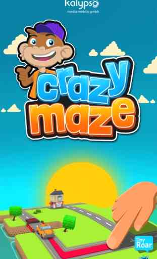 Crazy Maze -  Puzzle Action 4