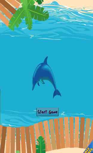 Dolphin Swim Safe Ocean Adventure 1