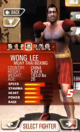 Iron Fist Boxing 2
