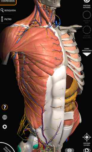 Anatomía - Atlas 3D 1