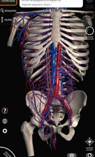 Anatomía - Atlas 3D 3