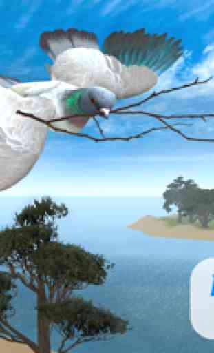 Pájaro Paloma Supervivencia Simulador 3D 1