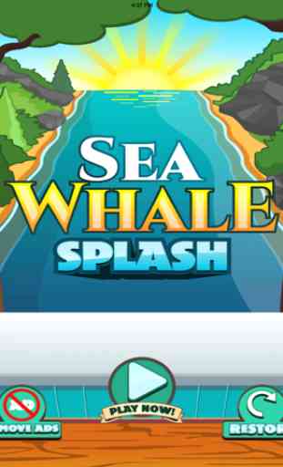 Sea Whale Splash 4