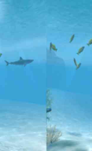 Sharks VR 3