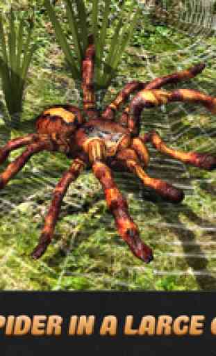 Spider Life Simulator 3D 1