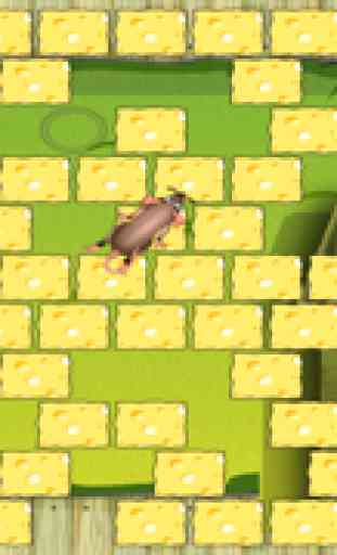 Trap The Mouse: Escape The Mayhem 2