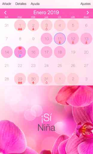 Calendario ciclo menstrual 1